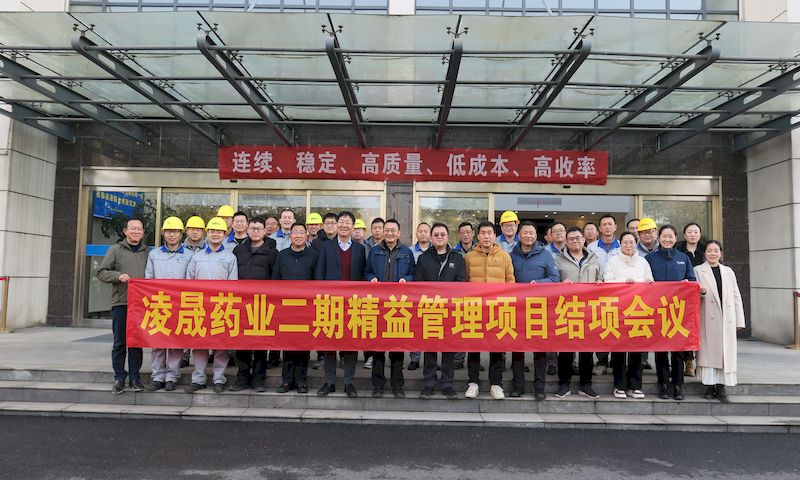 凌晟第二期结项大合影_结果